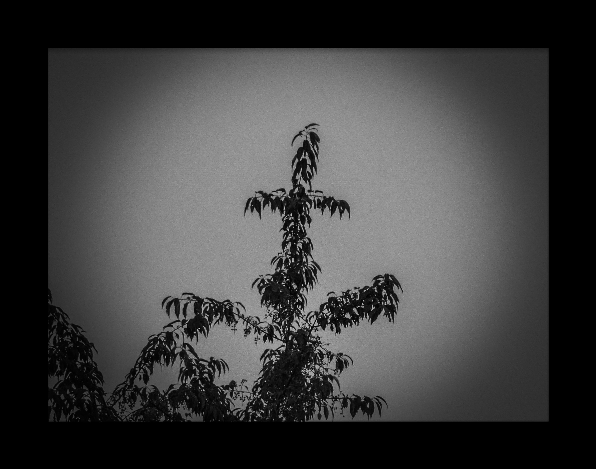 What is in Your Alabaster Jar?